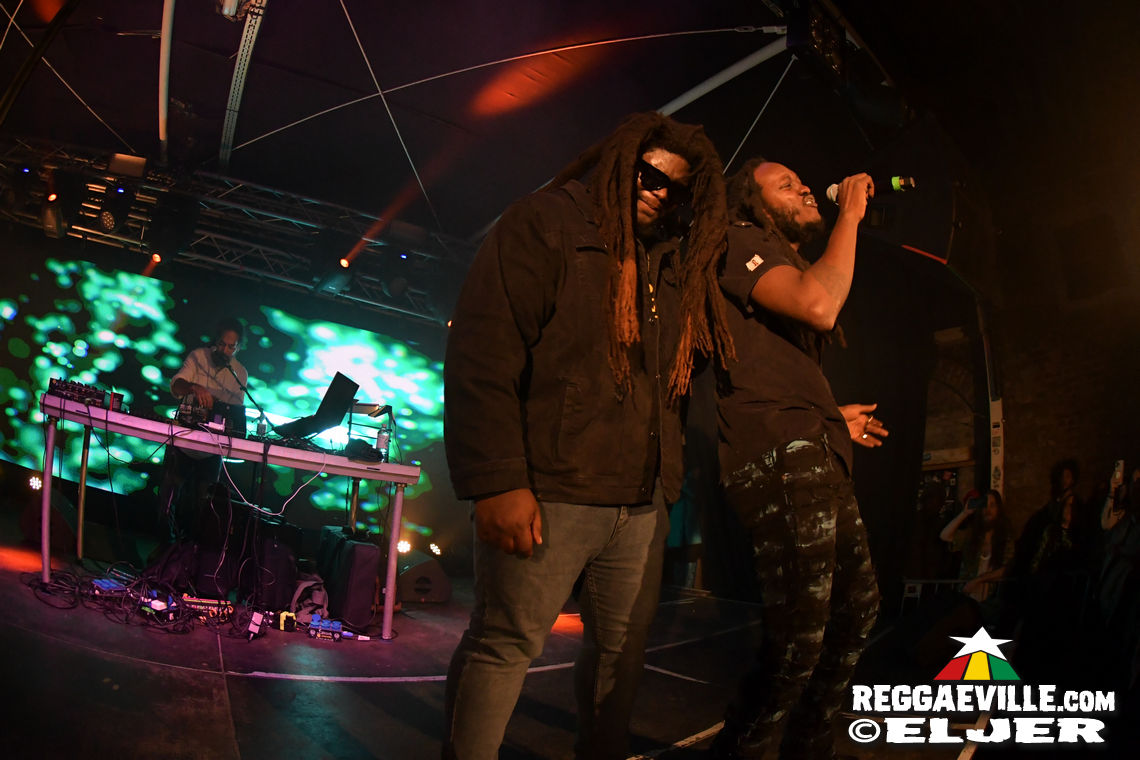 Samory I, Mortimer & Tippy I-Grade