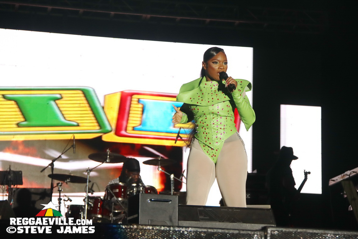 Turbulence, Capleton, Tanya Stephens, Macka Diamond, Bugle, Chuck Fenda