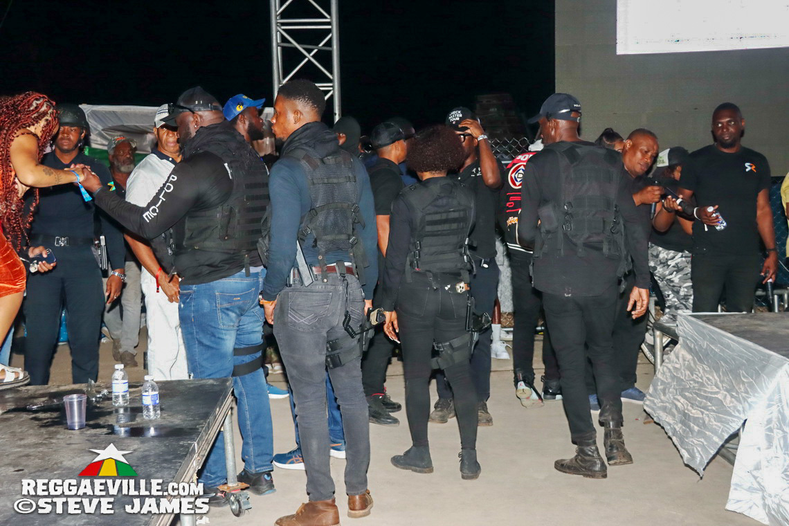 Turbulence, Capleton, Tanya Stephens, Macka Diamond, Bugle, Chuck Fenda