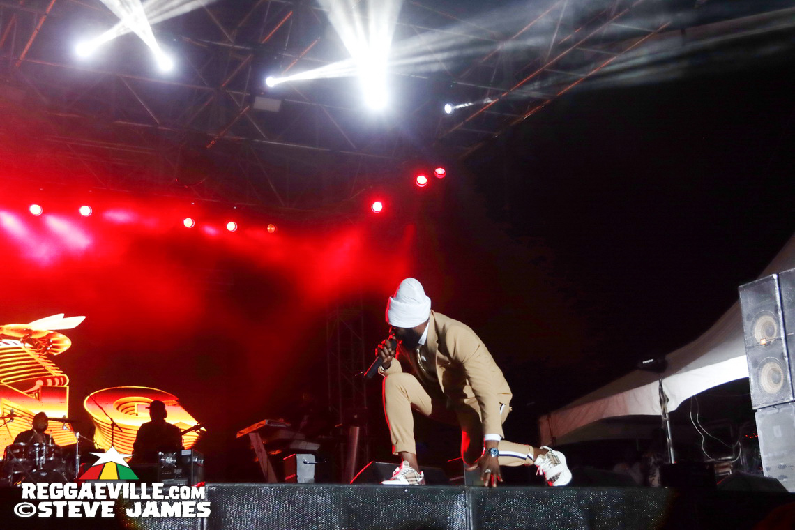 Turbulence, Capleton, Tanya Stephens, Macka Diamond, Bugle, Chuck Fenda