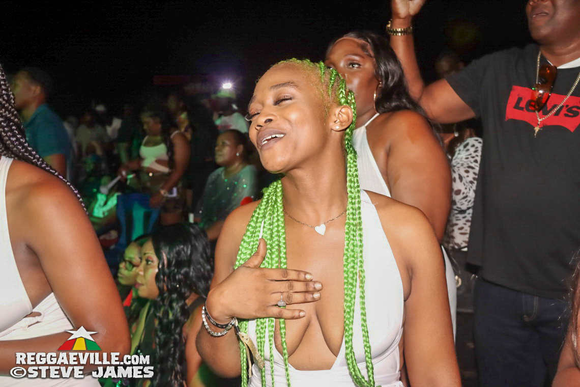 Turbulence, Capleton, Tanya Stephens, Macka Diamond, Bugle, Chuck Fenda