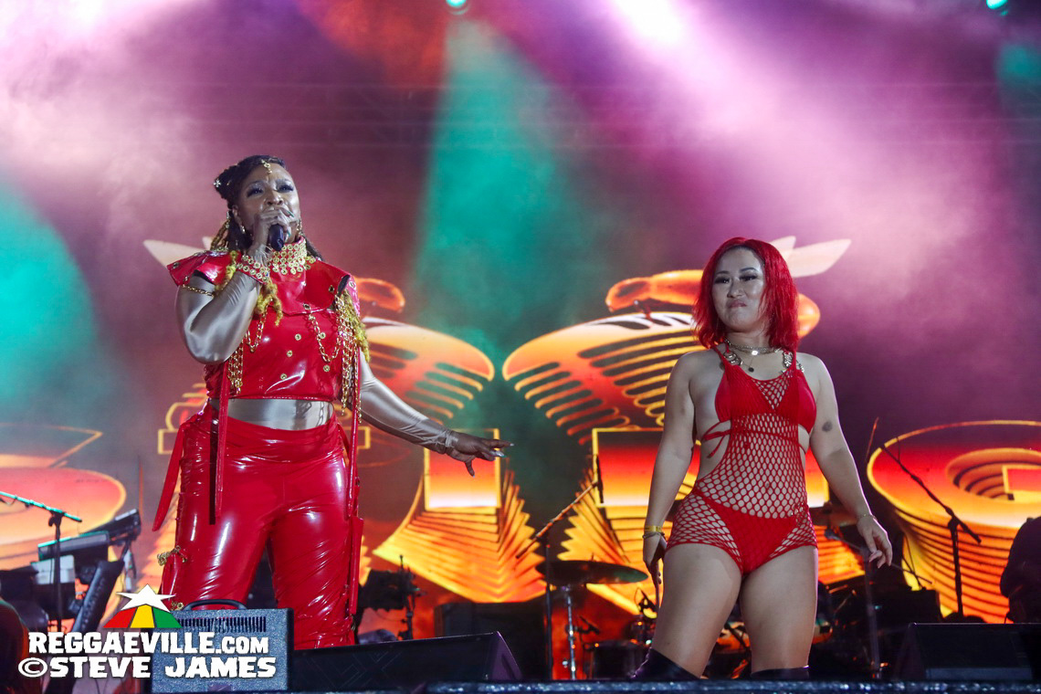 Turbulence, Capleton, Tanya Stephens, Macka Diamond, Bugle, Chuck Fenda