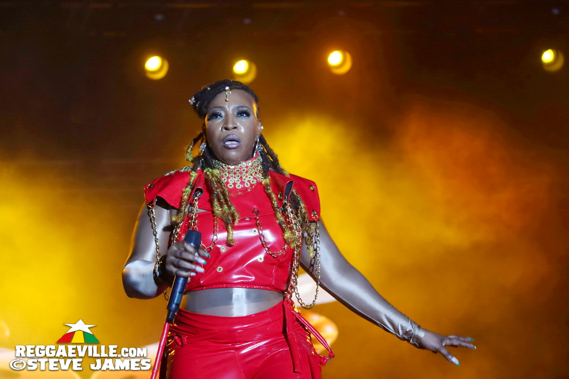 Turbulence, Capleton, Tanya Stephens, Macka Diamond, Bugle, Chuck Fenda