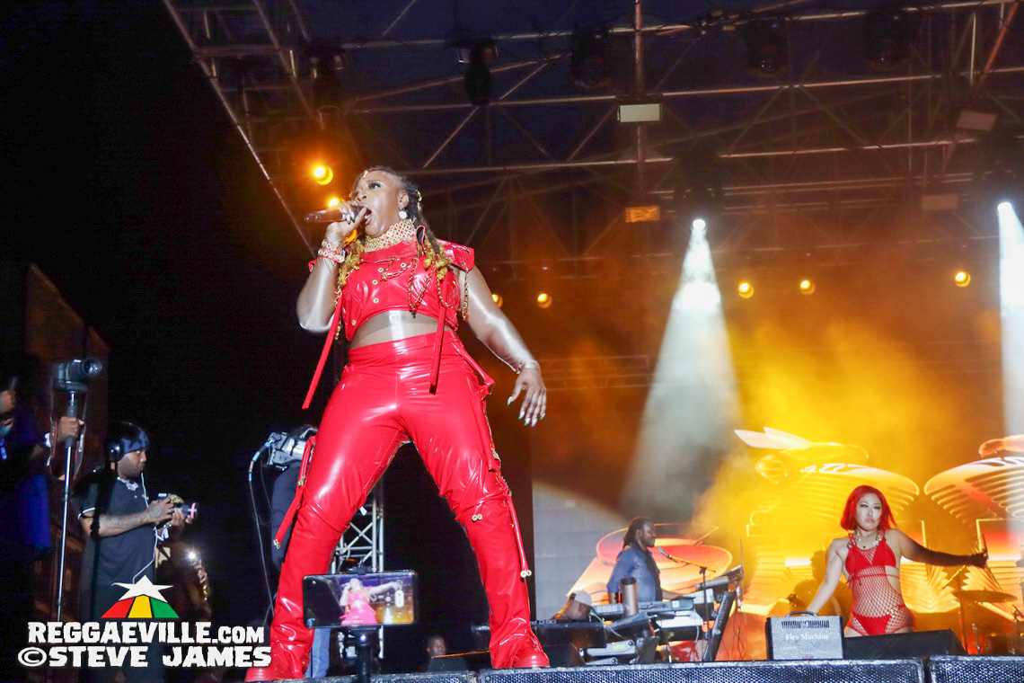 Turbulence, Capleton, Tanya Stephens, Macka Diamond, Bugle, Chuck Fenda