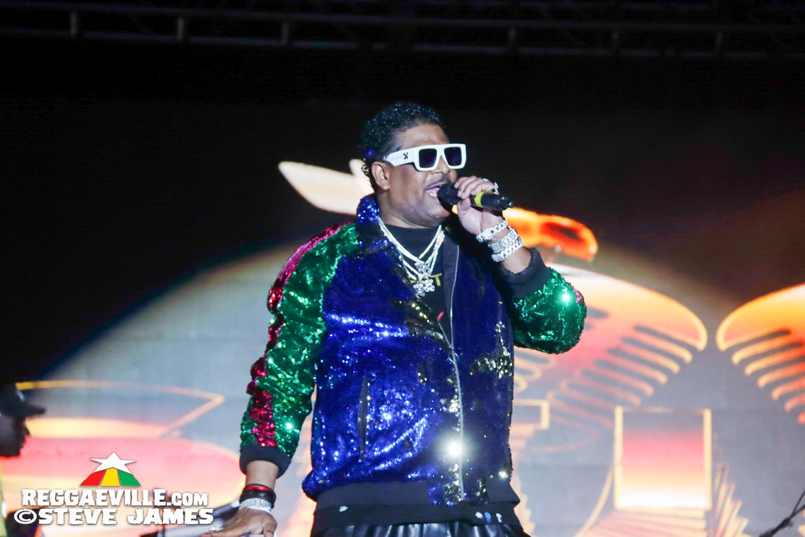 Turbulence, Capleton, Tanya Stephens, Macka Diamond, Bugle, Chuck Fenda