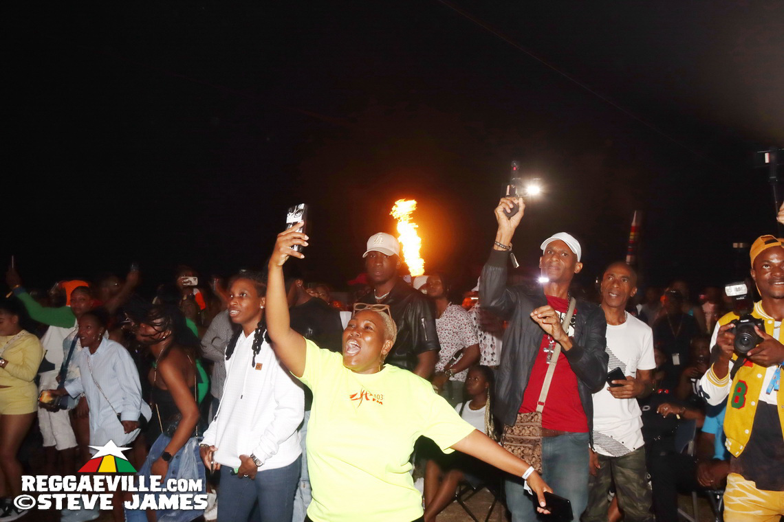 Turbulence, Capleton, Tanya Stephens, Macka Diamond, Bugle, Chuck Fenda