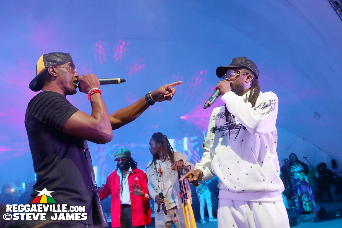 Beenie Man, Warrior King, D'Yani, Sevana