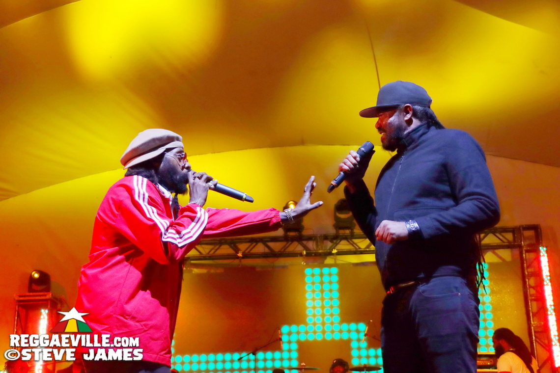 Beenie Man, Warrior King, D'Yani, Sevana