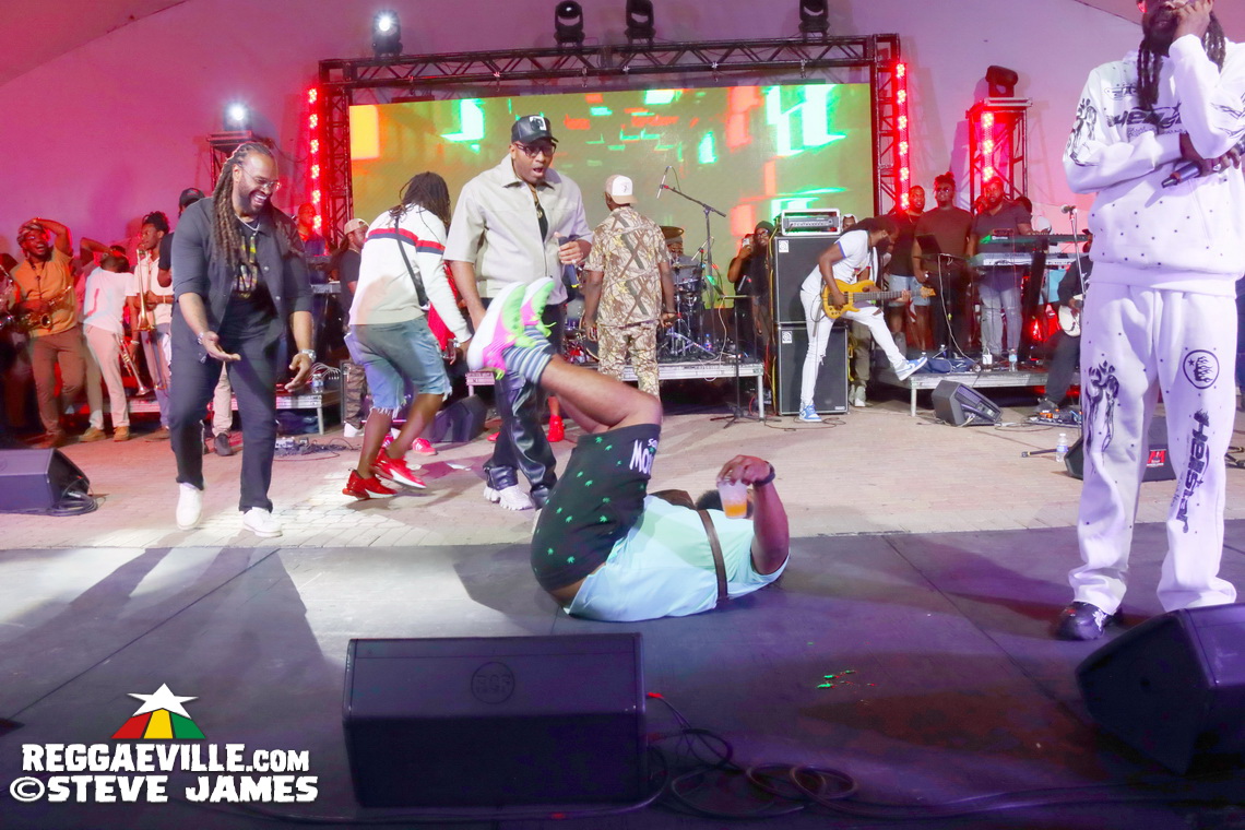 Beenie Man, Warrior King, D'Yani, Sevana