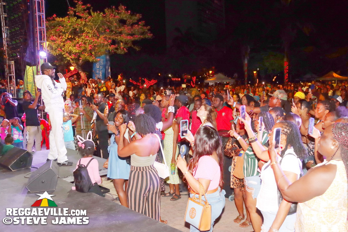 Beenie Man, Warrior King, D'Yani, Sevana