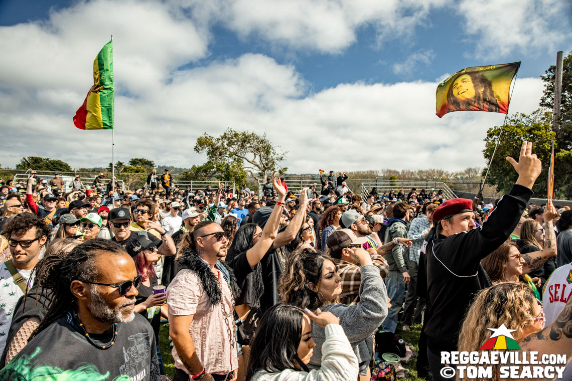 Collie Buddz, Protoje, Rik Jam