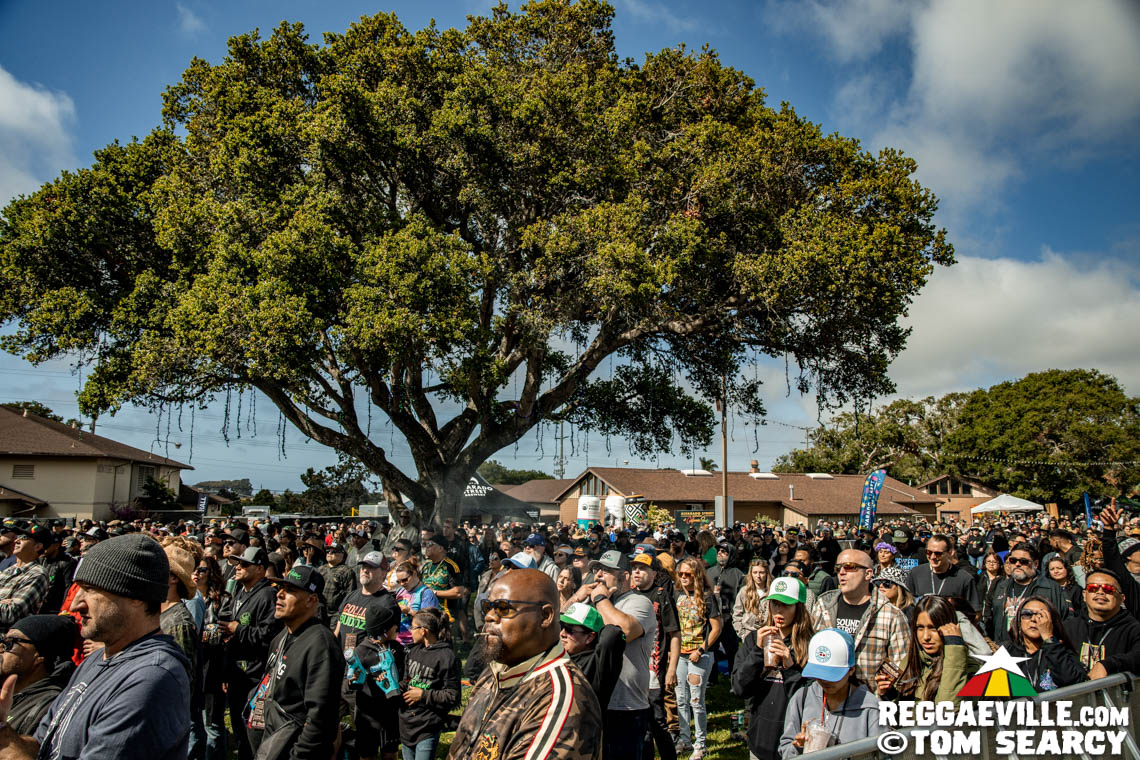 Collie Buddz, Protoje, Rik Jam