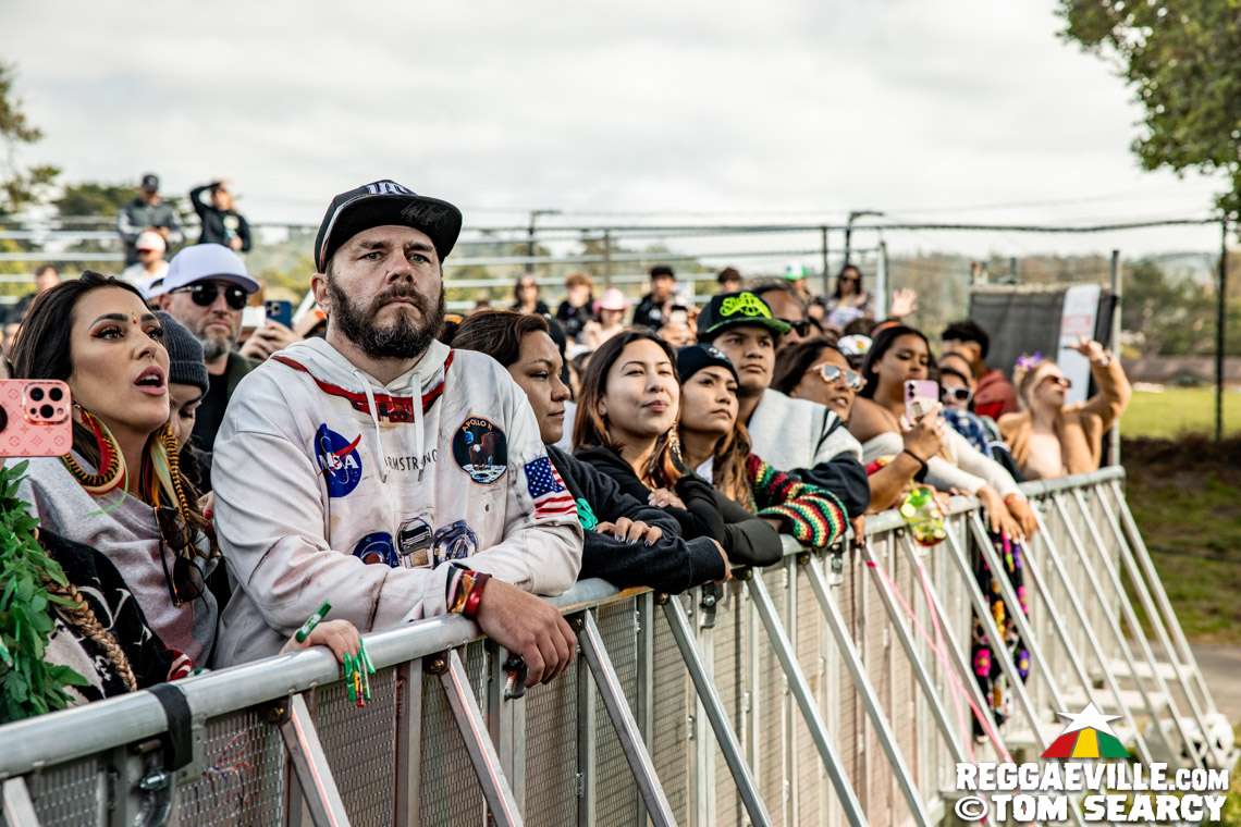 Collie Buddz, Protoje, Rik Jam