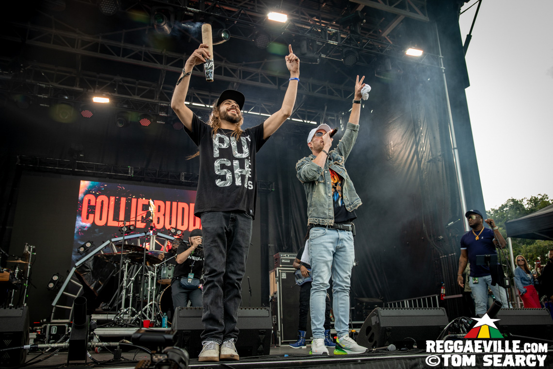 Collie Buddz, Protoje, Rik Jam