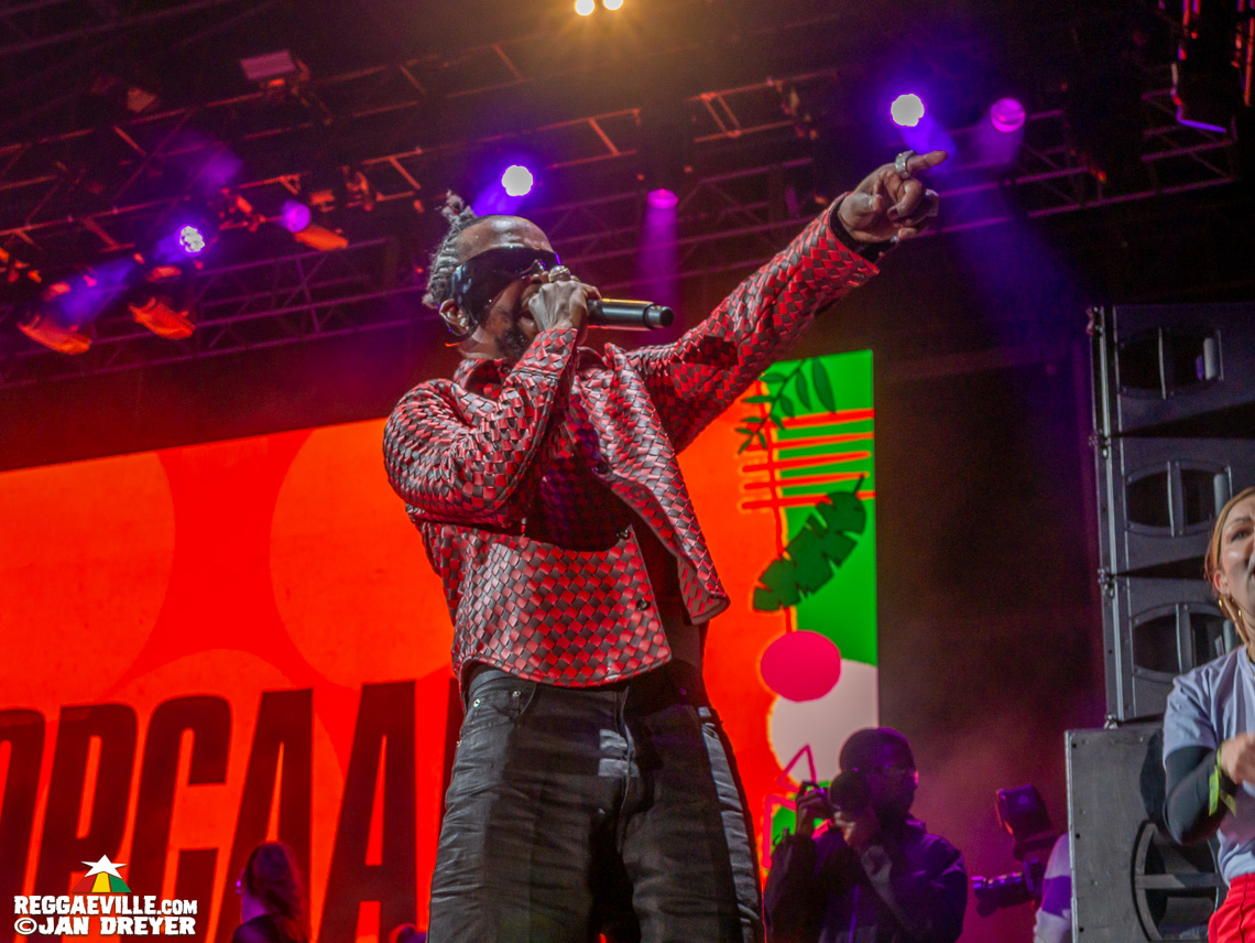 Popcaan, Spice, Tasha T