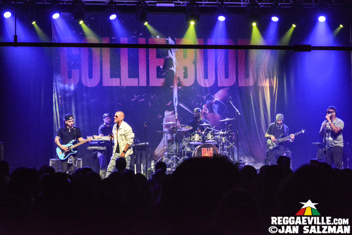 Collie Buddz, Hector Roots Lewis