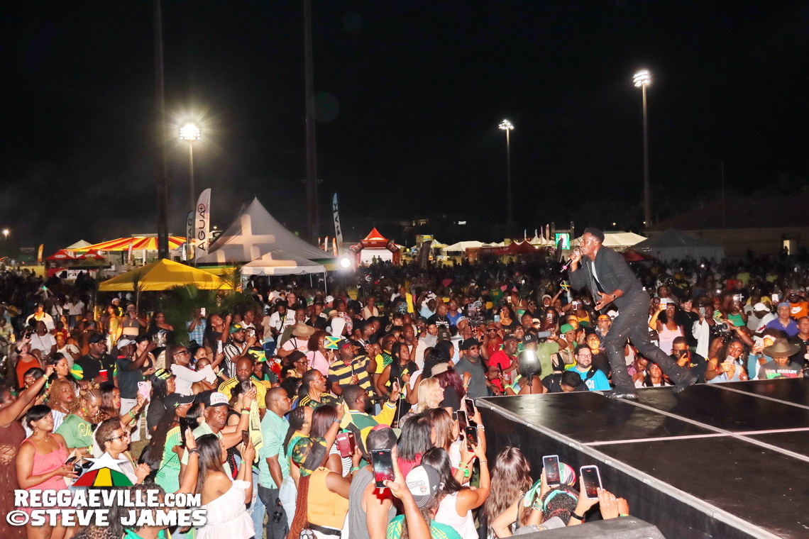 Mr. Vegas, Romain Virgo, The Wailers, Destra