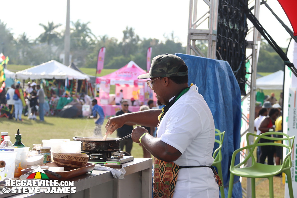 Mr. Vegas, Romain Virgo, The Wailers, Destra