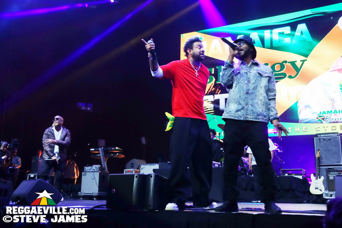 Shaggy, Sean Paul, Inner Circle, Tessanne Chin