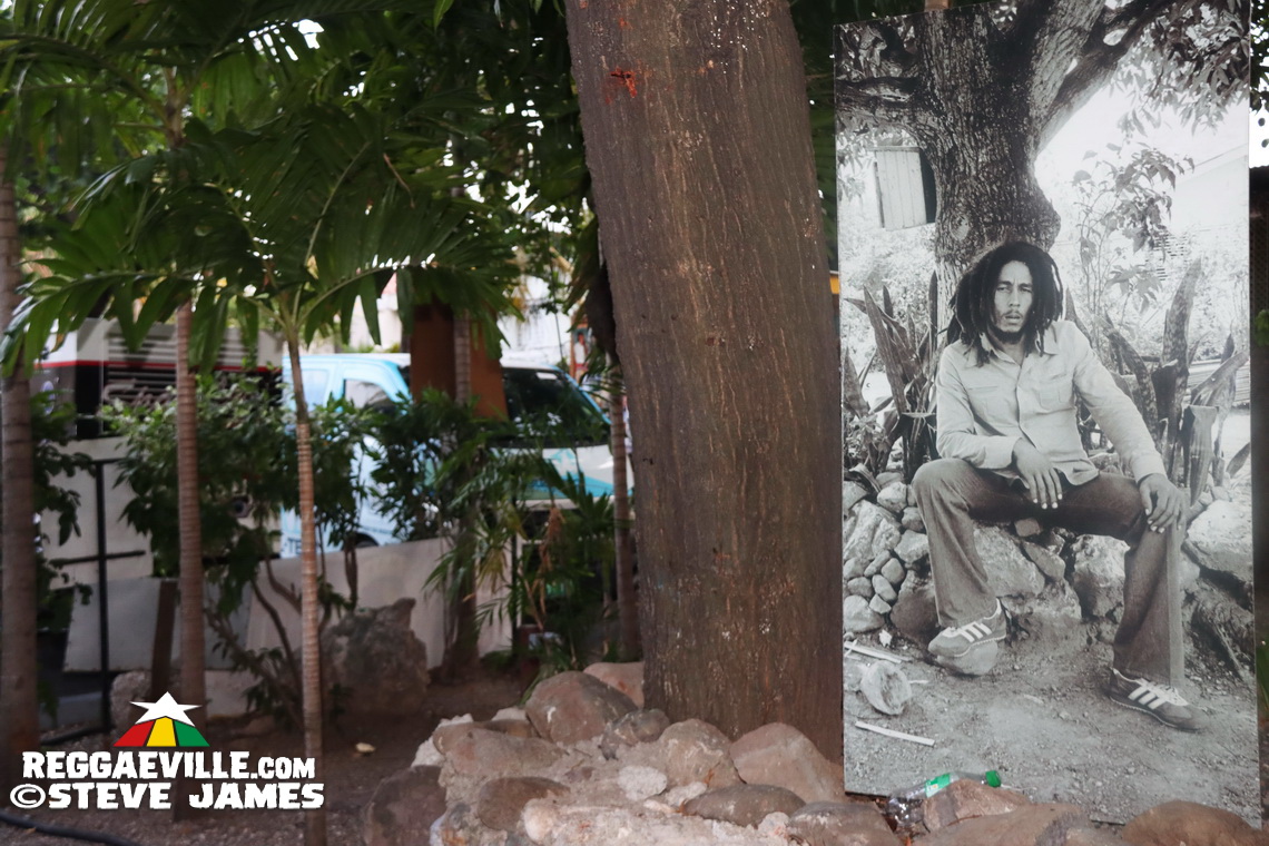 Fred Locks, Earl Chinna Smith, Mikey General, Bongo Herman