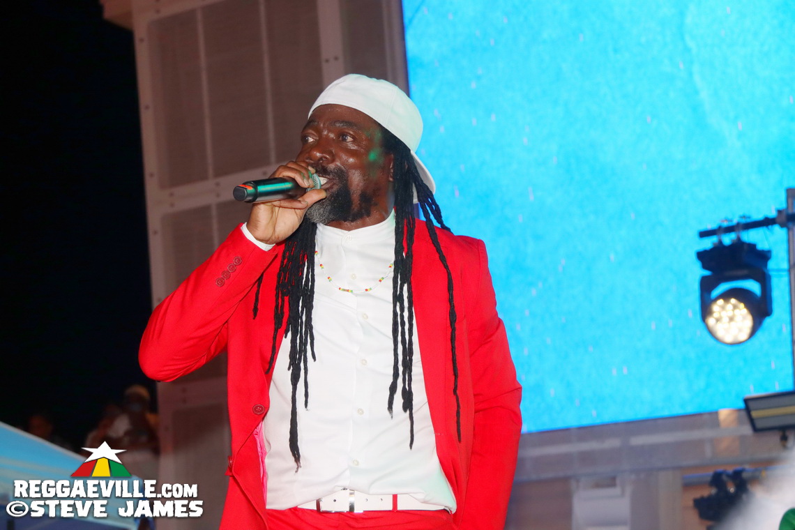 Elephant Man, Capleton, Cham, Louie Culture