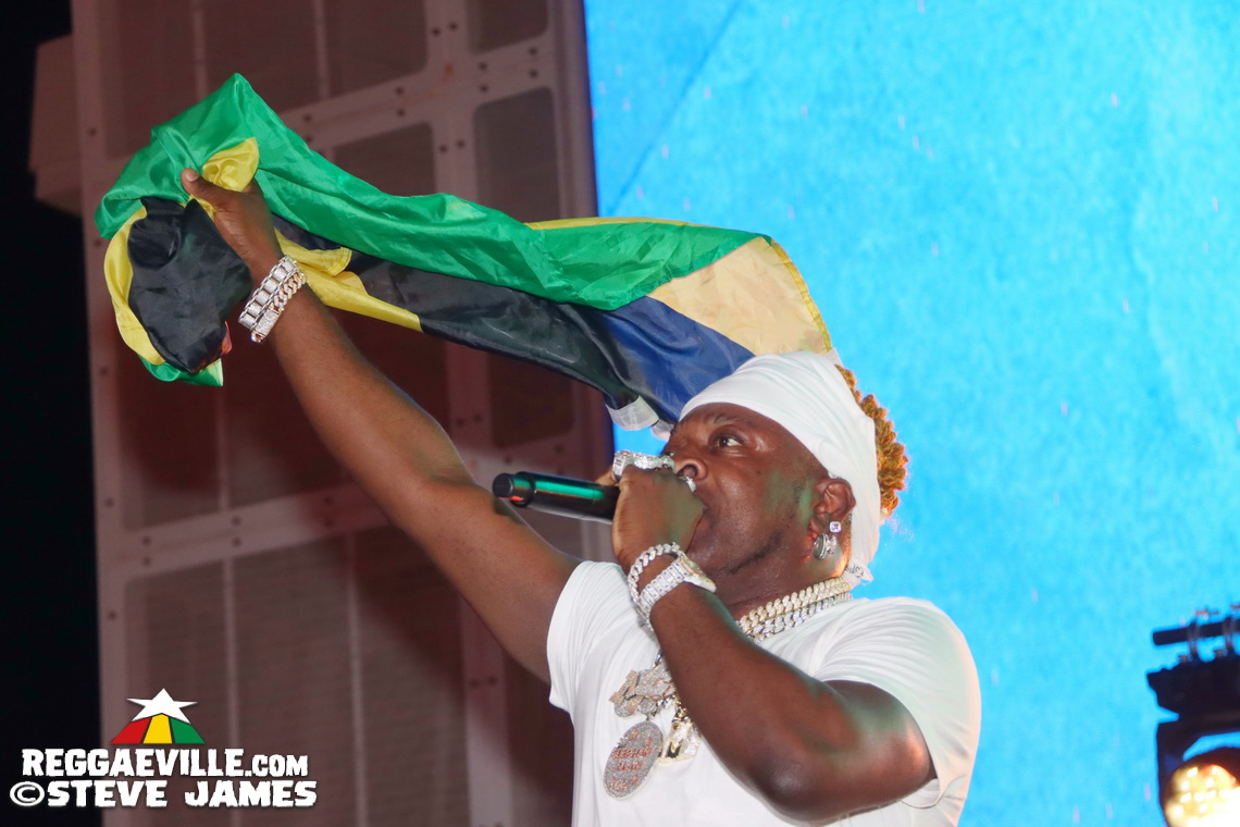 Elephant Man, Capleton, Cham, Louie Culture