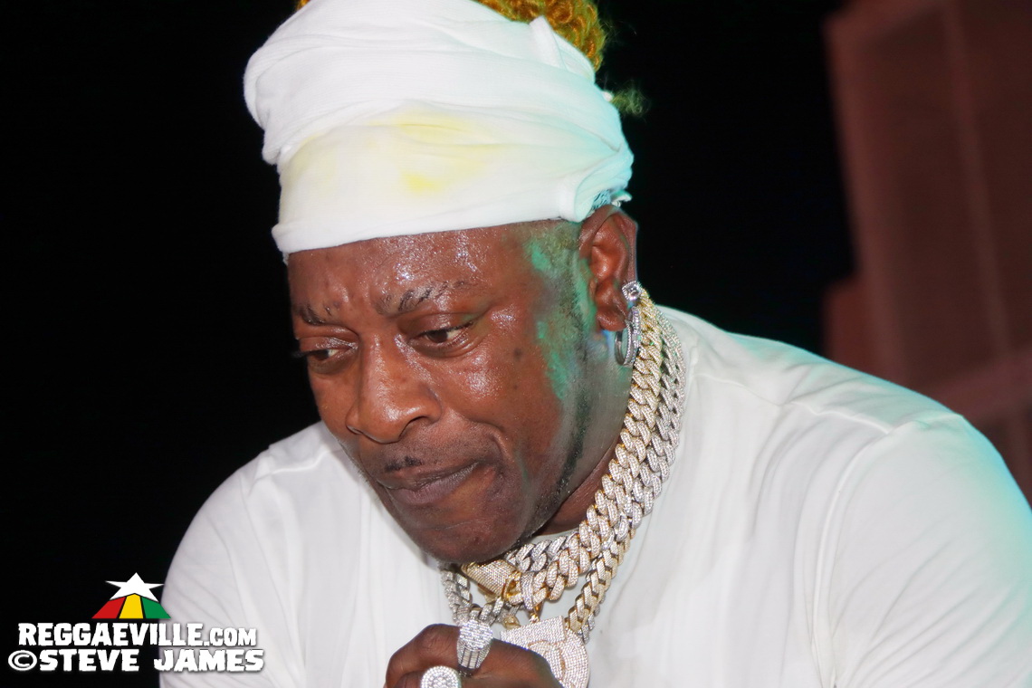 Elephant Man, Capleton, Cham, Louie Culture