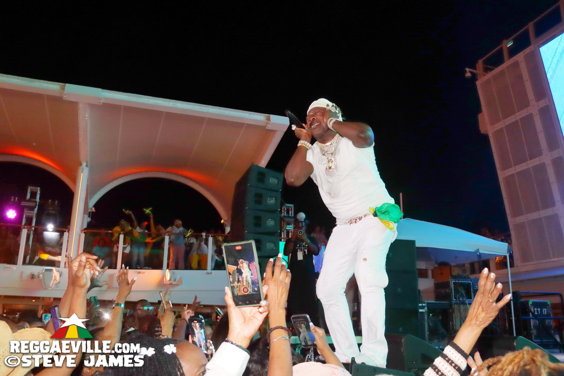 Elephant Man, Capleton, Cham, Louie Culture