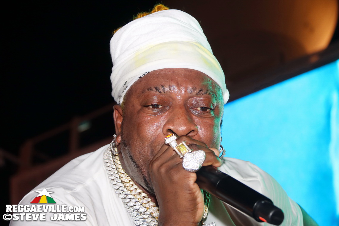 Elephant Man, Capleton, Cham, Louie Culture