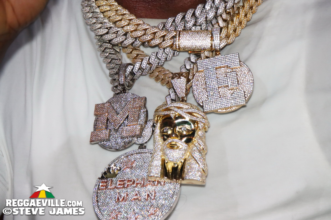 Elephant Man, Capleton, Cham, Louie Culture