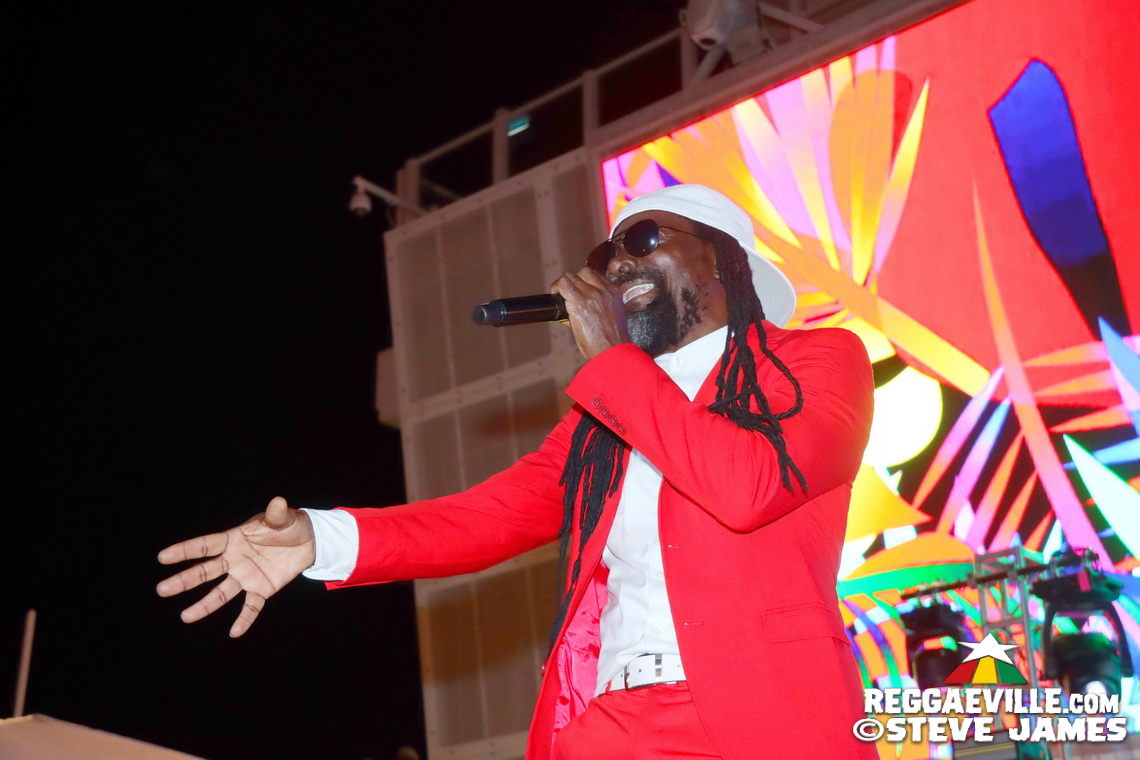 Elephant Man, Capleton, Cham, Louie Culture