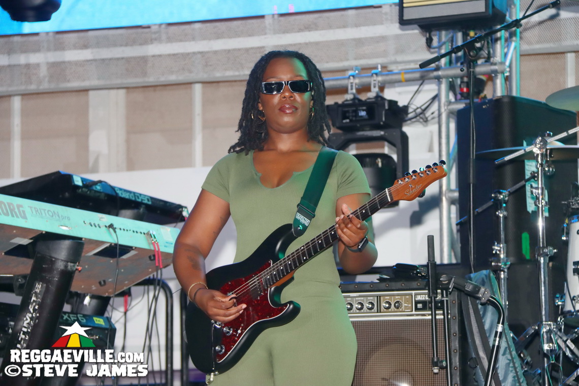 Elephant Man, Capleton, Cham, Louie Culture