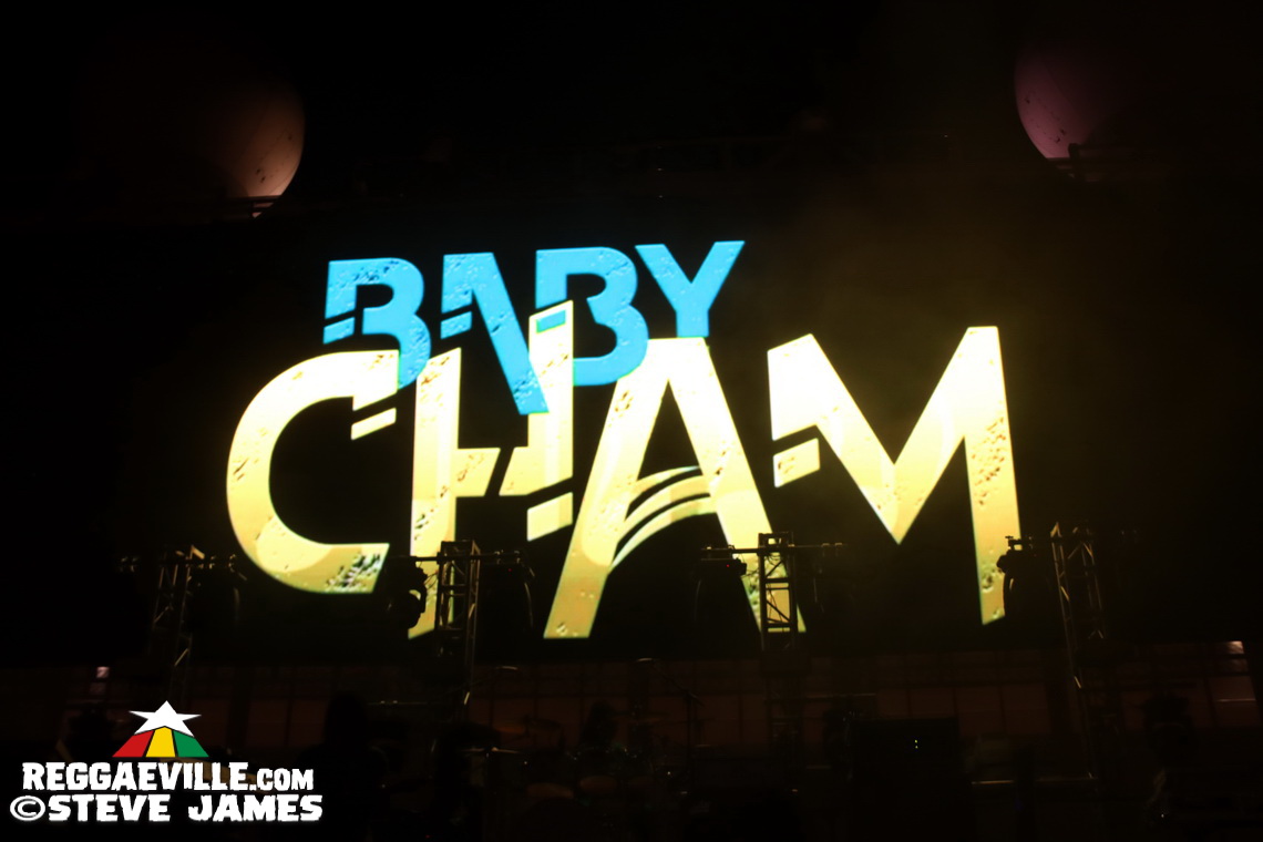 Elephant Man, Capleton, Cham, Louie Culture