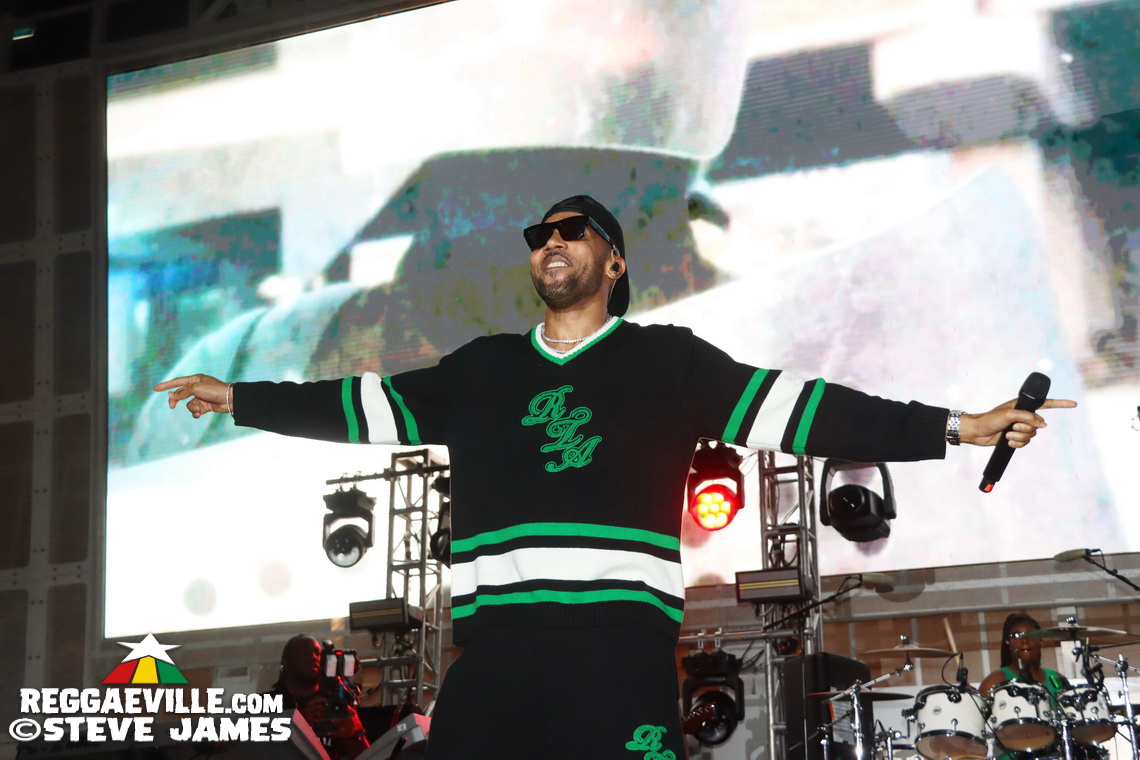 Elephant Man, Capleton, Cham, Louie Culture