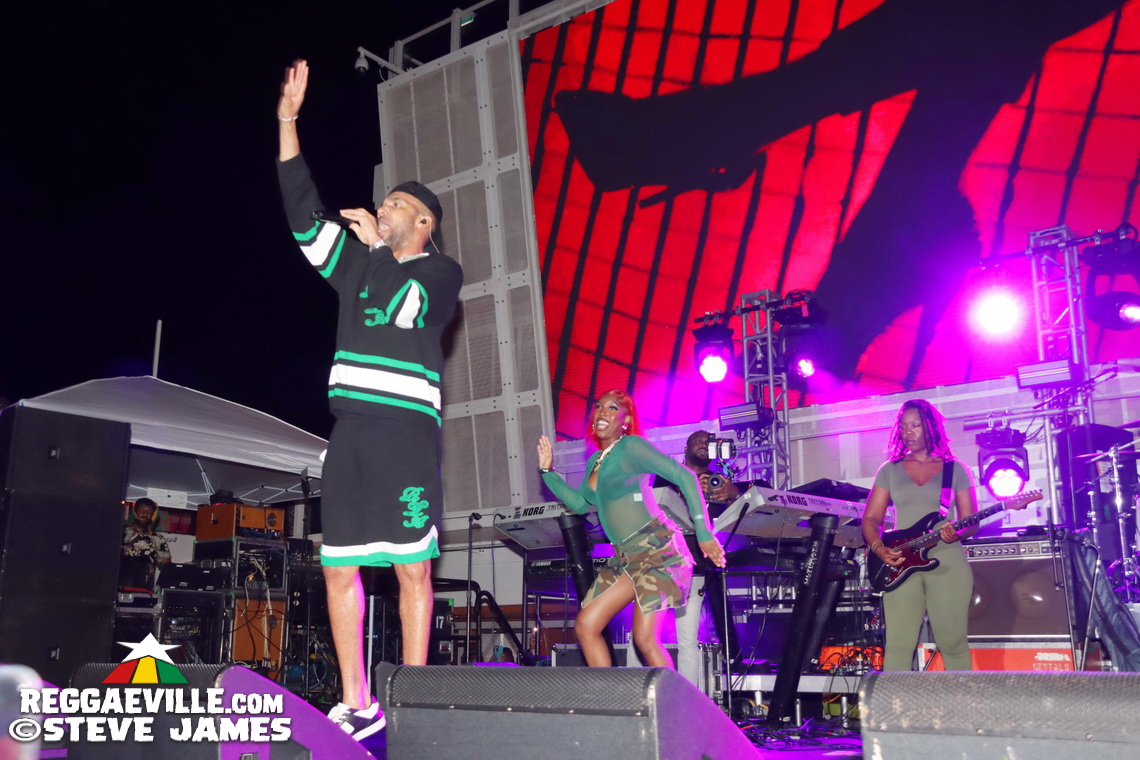 Elephant Man, Capleton, Cham, Louie Culture