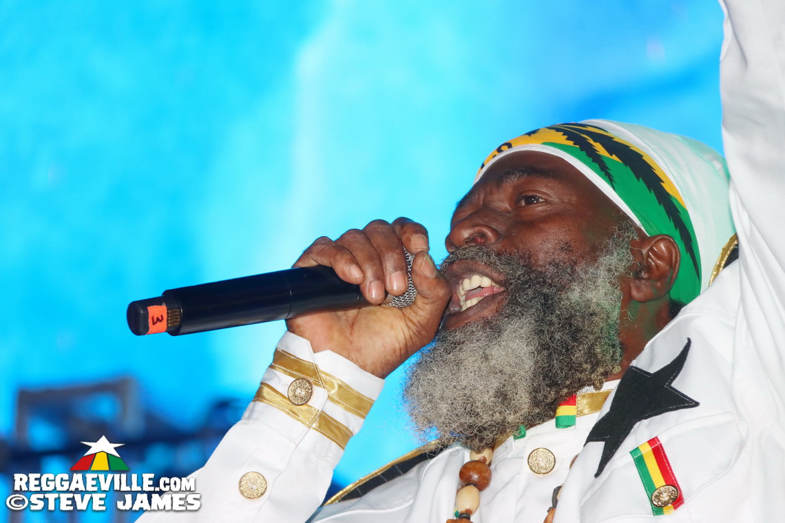 Elephant Man, Capleton, Cham, Louie Culture
