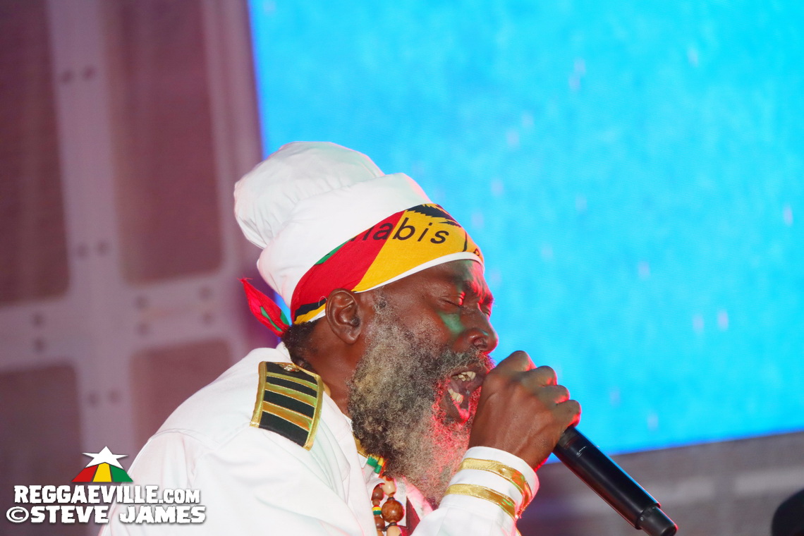 Elephant Man, Capleton, Cham, Louie Culture