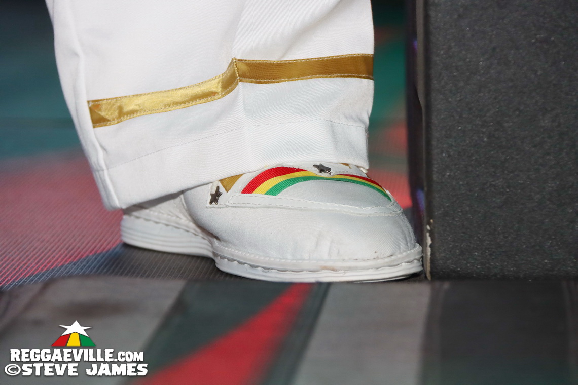 Elephant Man, Capleton, Cham, Louie Culture