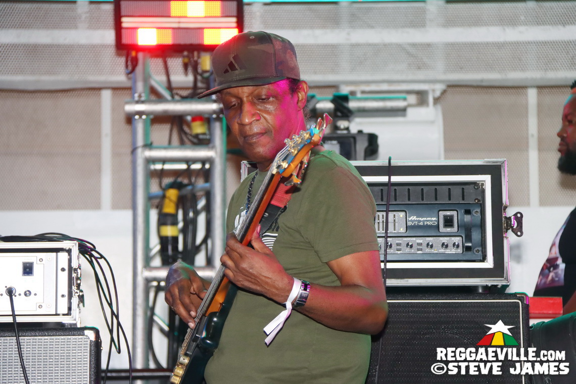 Elephant Man, Capleton, Cham, Louie Culture