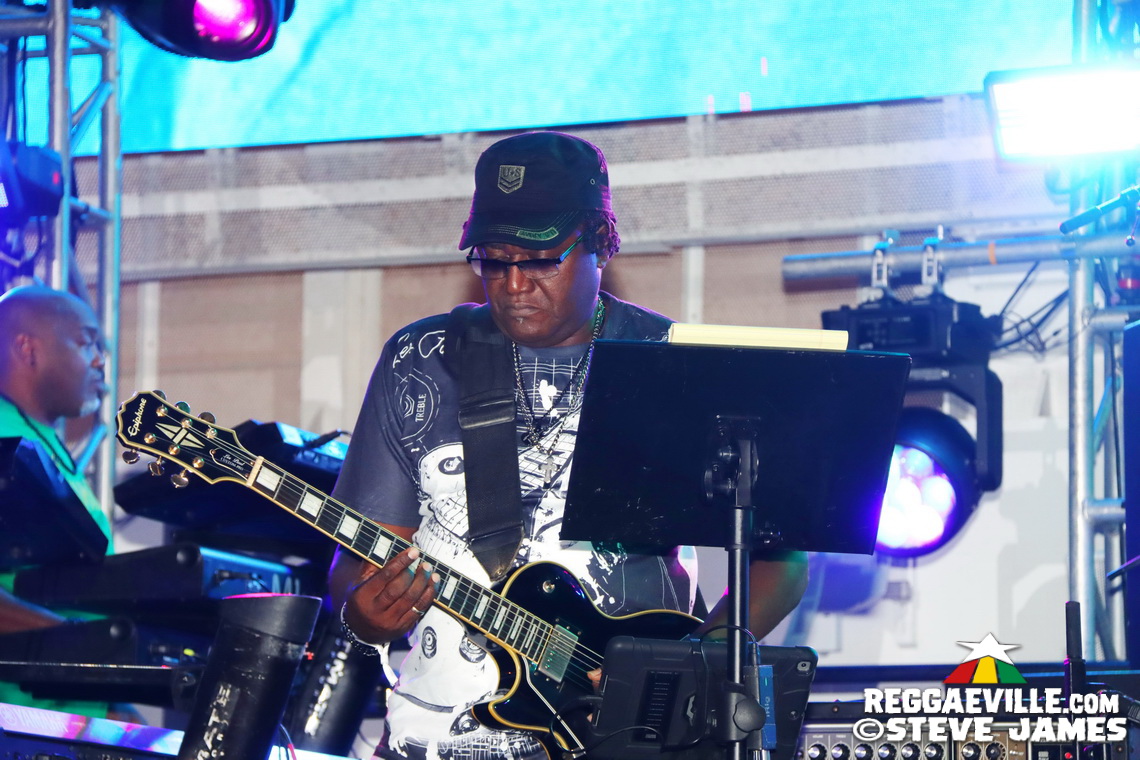 Elephant Man, Capleton, Cham, Louie Culture