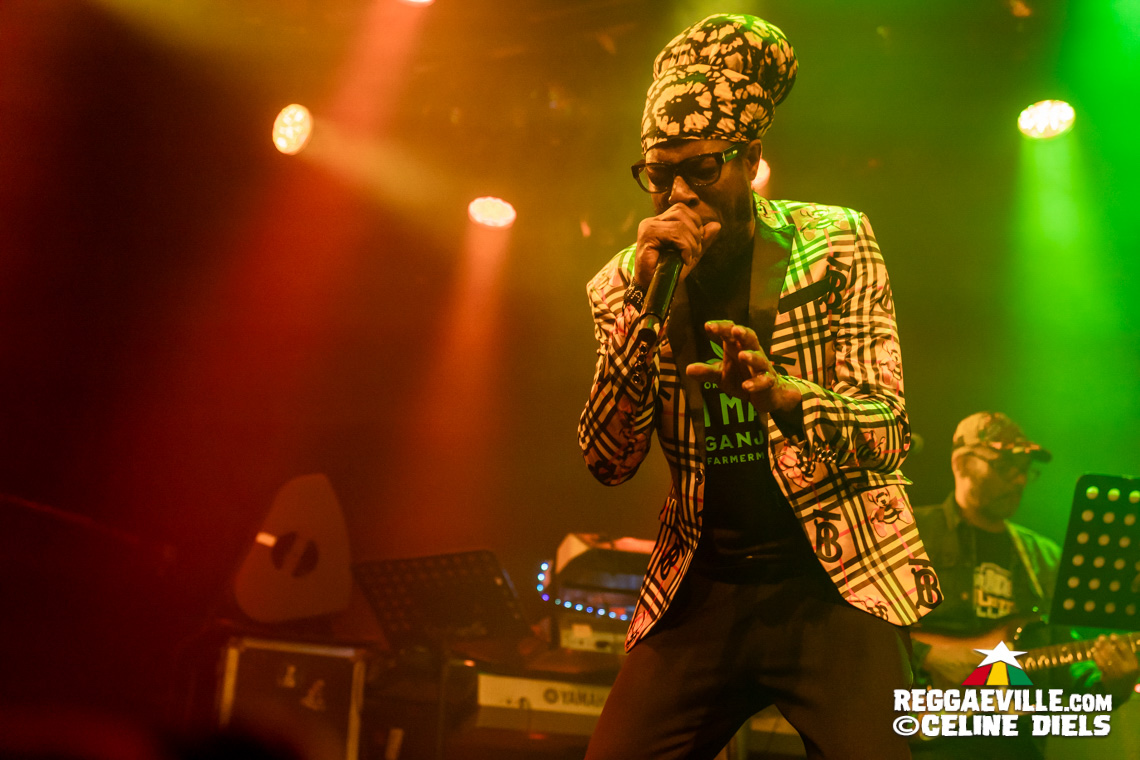 Lutan Fyah, Jah Mason, Zhayna