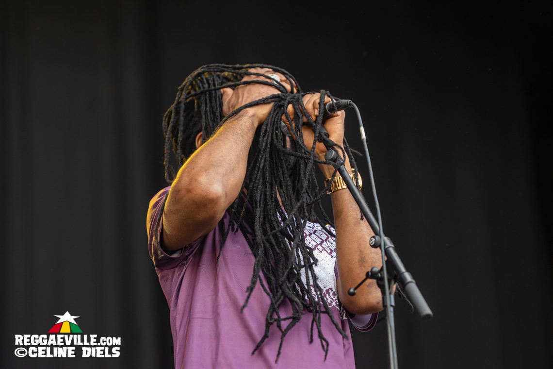 Mortimer, The Pioneers, IJahman Levi, The Gladiators