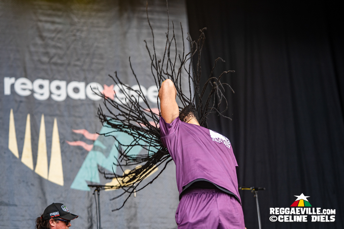 Mortimer, The Pioneers, IJahman Levi, The Gladiators