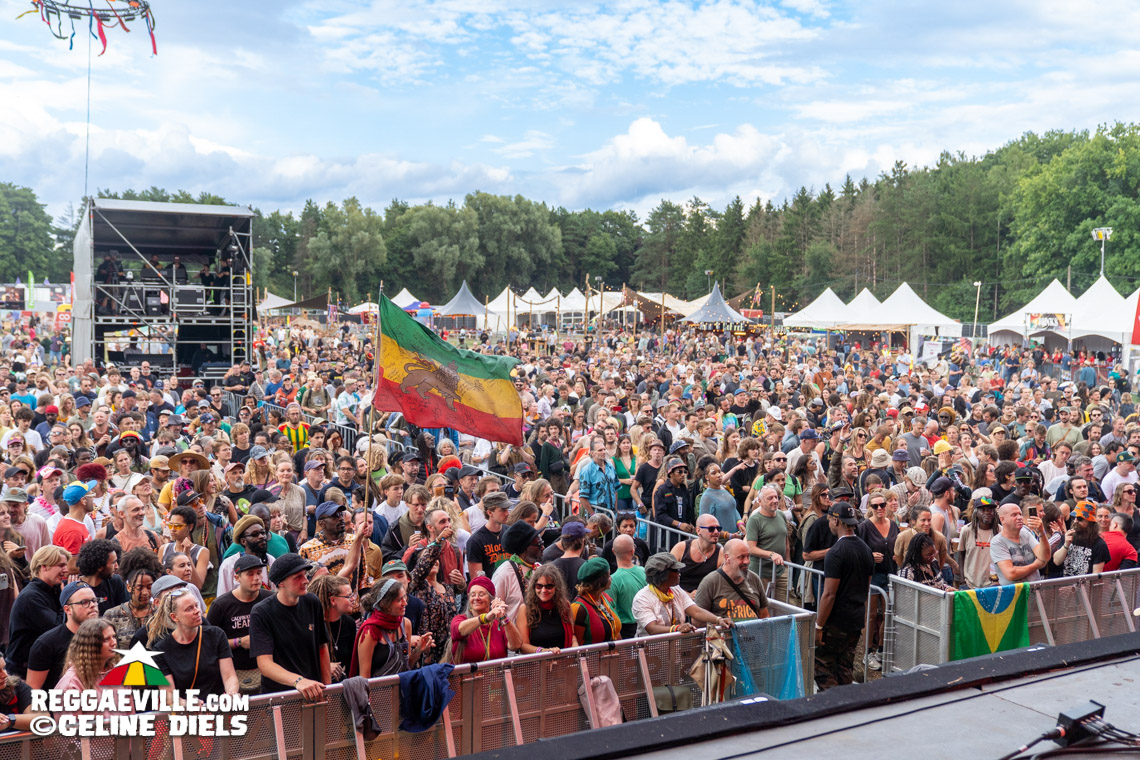 Mortimer, The Pioneers, IJahman Levi, The Gladiators