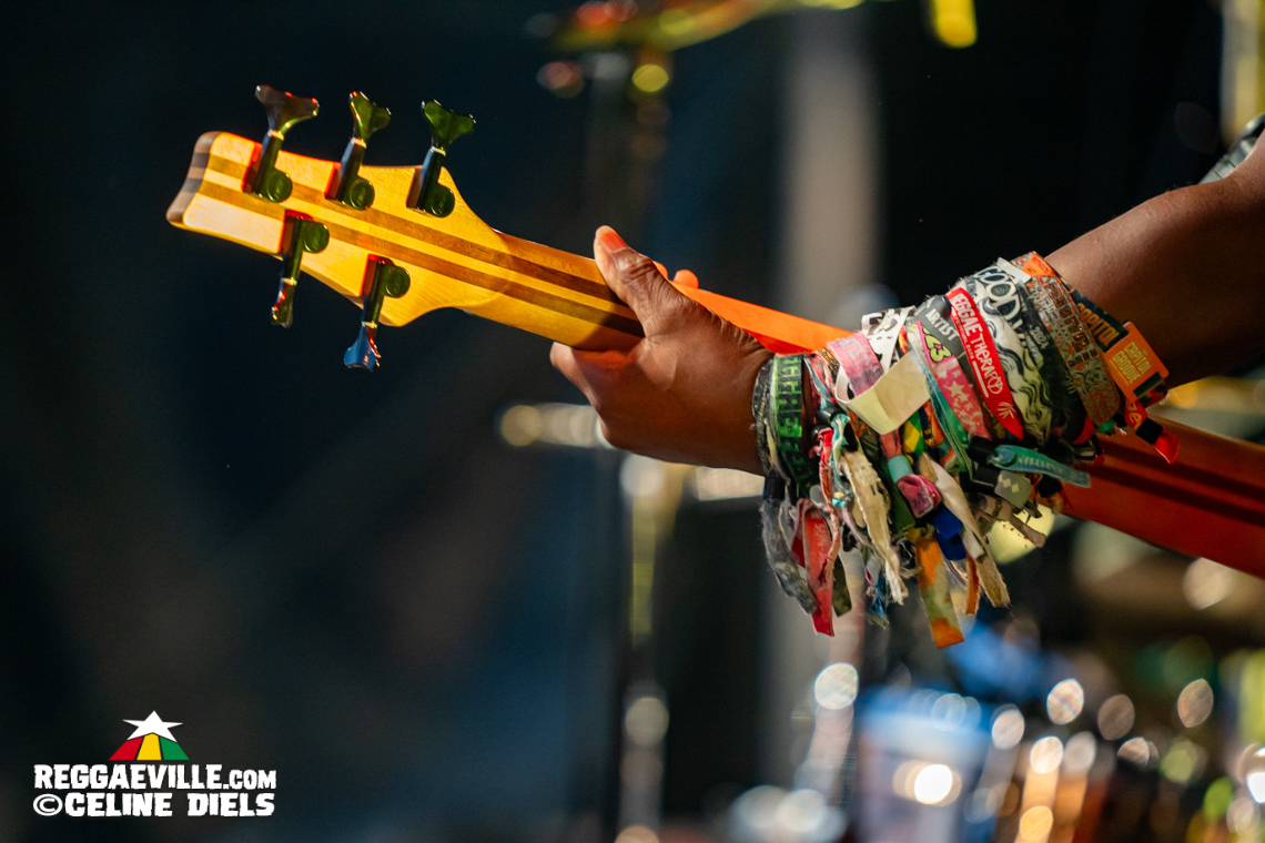 Gentleman, Steel Pulse, Blaiz Fayah, Mungo’s Hi Fi & Eva Lazarus