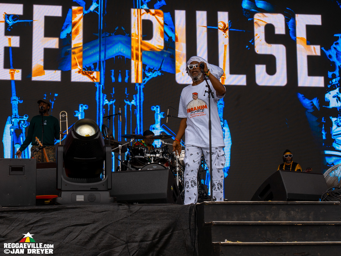 Sevana, Kabaka Pyramid, Steel Pulse