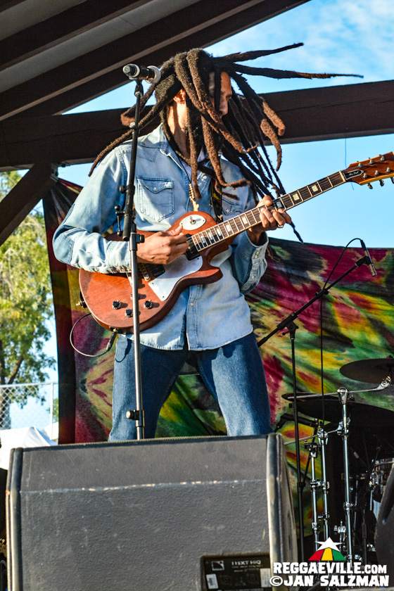 Julian Marley, Arise Roots
