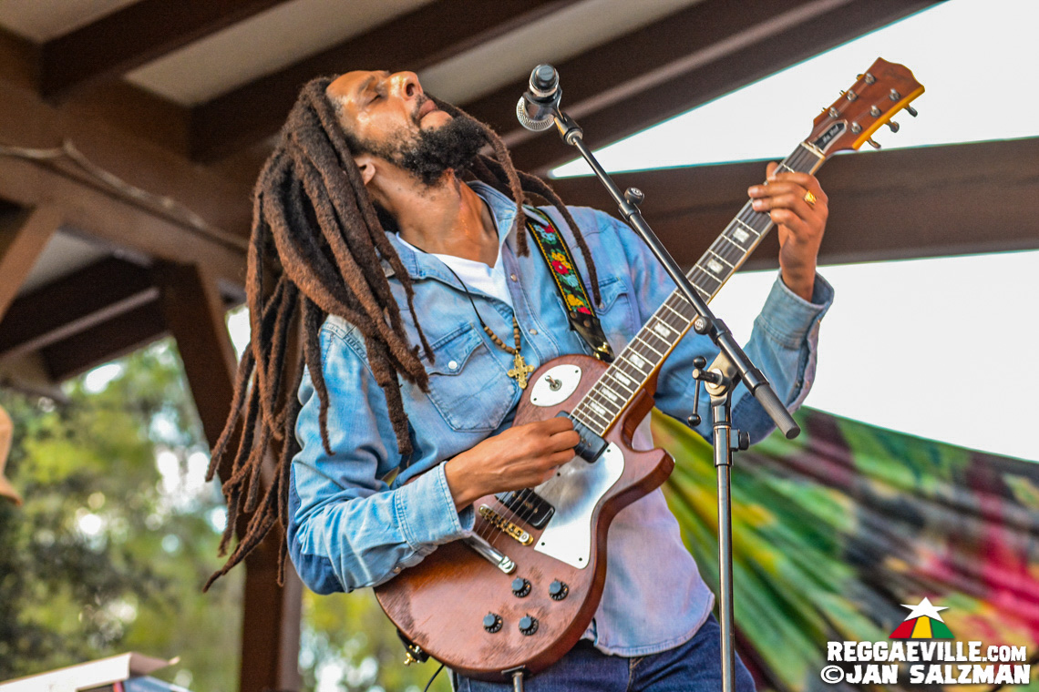 Julian Marley, Arise Roots