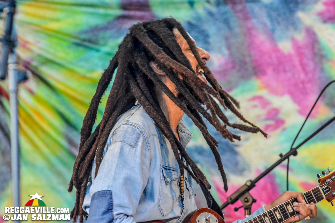 Julian Marley, Arise Roots