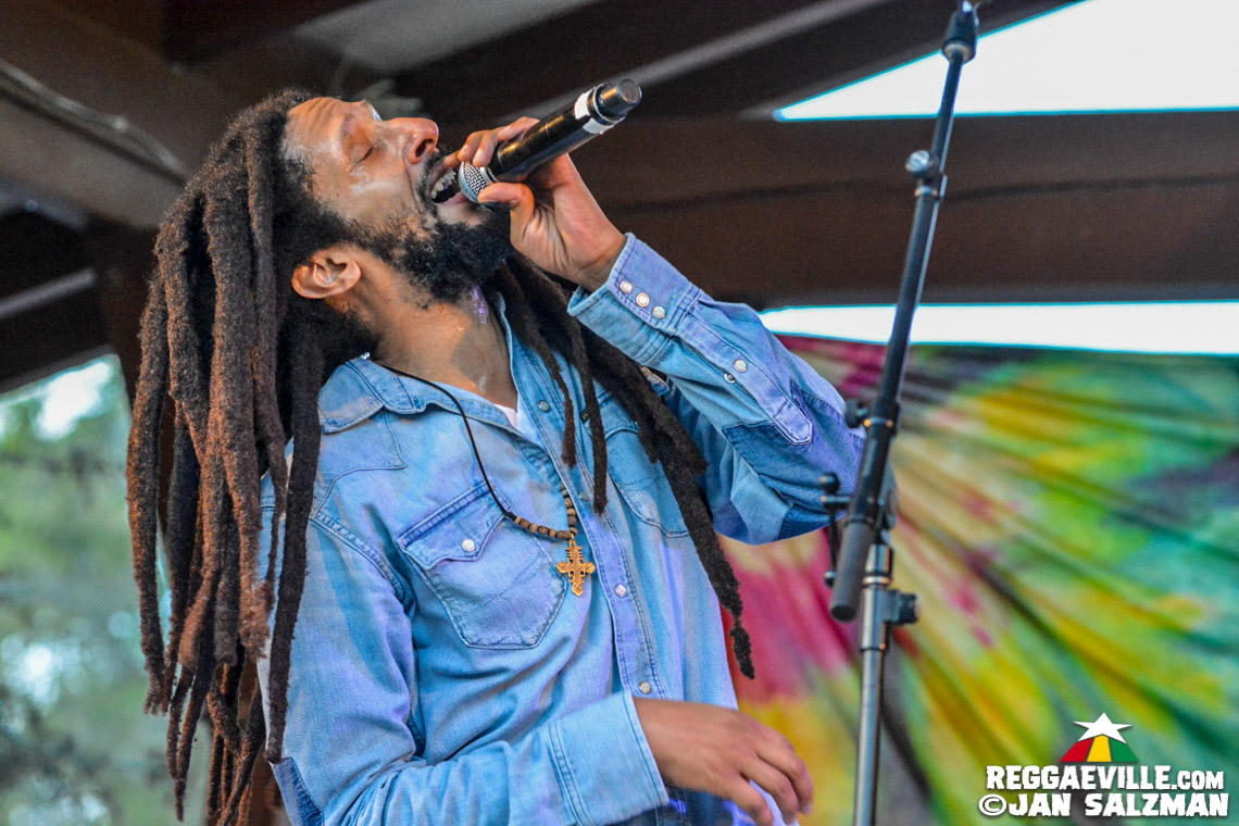 Julian Marley, Arise Roots